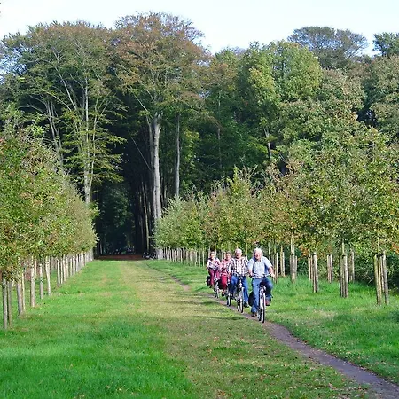 Zonneheuvel *