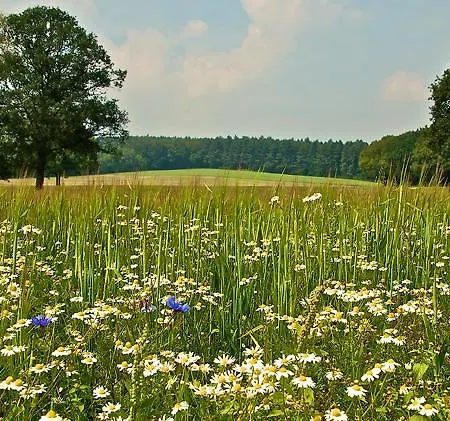 酒店 Zonneheuvel *