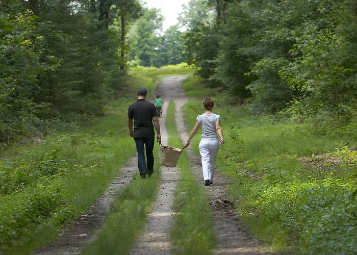 Отель Zonneheuvel